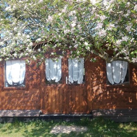 Chambre Studio Photo Chalet Sdb Partagee A Proximite Chavagne Dış mekan fotoğraf